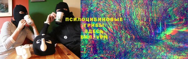 стаф Белокуриха