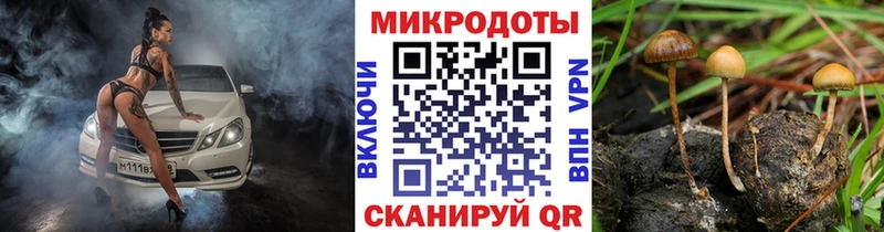 Псилоцибиновые грибы Psilocybine cubensis  Богородицк 